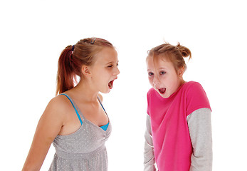 Image showing Two sisters screaming at each other.