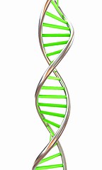 Image showing DNA structure model on white