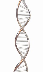 Image showing DNA structure model on white