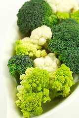 Image showing Green vegetable