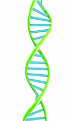 Image showing DNA structure model on white