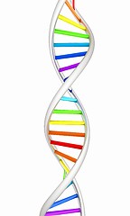 Image showing DNA structure model on white