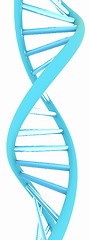 Image showing DNA structure model on white