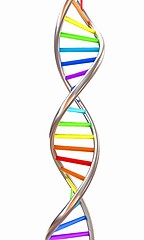 Image showing DNA structure model on white