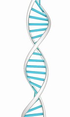 Image showing DNA structure model on white