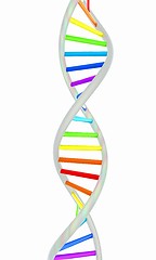 Image showing DNA structure model on white