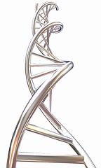 Image showing DNA structure model on white