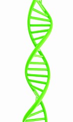 Image showing DNA structure model on white