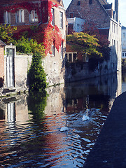 Image showing canal scene historic houses  geese medieval  Bruges Brugge Belgi