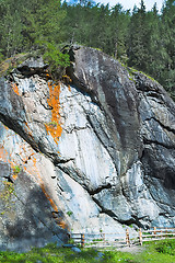 Image showing Ancient petroglyphs near Kucherla. Mountain Altai