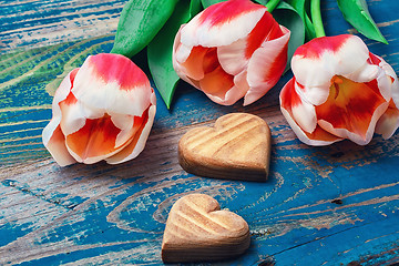 Image showing Three cut tulips