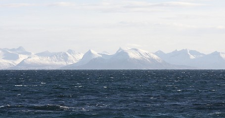 Image showing Coastline