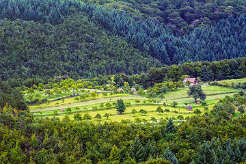 Image showing Farmland 