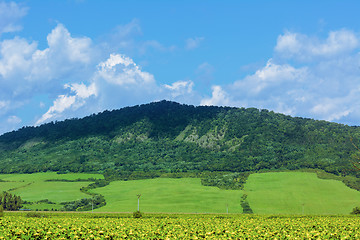 Image showing Landscape