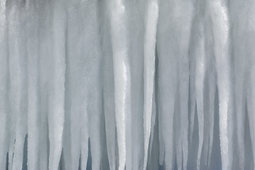 Image showing Icicles 