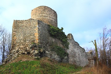 Image showing Castle Wlen
