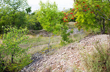 Image showing close up of rocky hill and trees