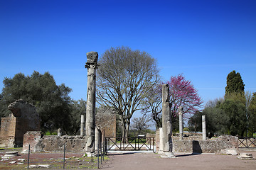 Image showing Ancient ruins of Villa Adriana ( The Hadrian\'s Villa ), Quadripo