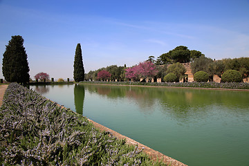 Image showing Ancient ruins of Villa Adriana ( The Hadrian\'s Villa ), Pecile, 