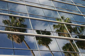 Image showing Palm trees reflecting