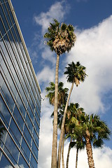 Image showing Hotel and palm trees