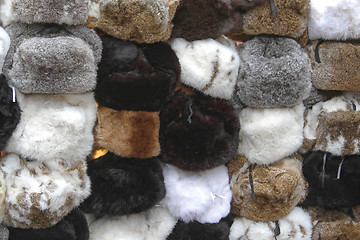 Image showing Fur Hats