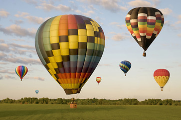 Image showing Various hot-air balloons floating over a field