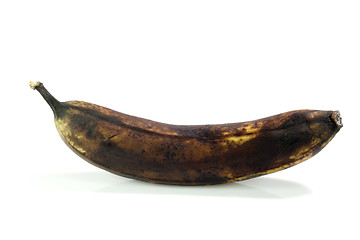 Image showing Dead Banana