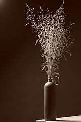 Image showing vase with straw grass in Sepia