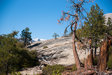 Image showing Hiking panaramic train in Yosemite