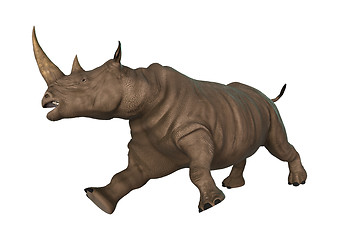 Image showing Wild  Rhinoceros on White