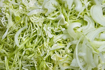 Image showing Chopped cabbage and onions