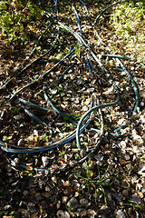 Image showing garden hose on the ground