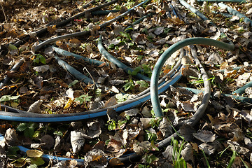 Image showing garden hose in autumn 