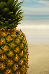 Image showing Pineapple on an exotic beach with blue and cloudy sky