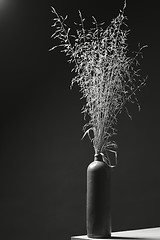 Image showing vase with straw grass in black and white