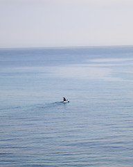 Image showing Paddling-canoe on sea