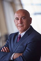 Image showing senior business man portrait