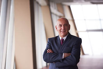 Image showing senior business man portrait