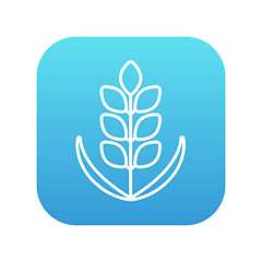 Image showing Wheat line icon.