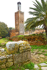 Image showing    in morocco africa the old  monument and site