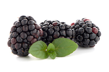 Image showing Blackberries with leaves