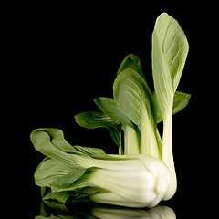 Image showing Pak choi on black 