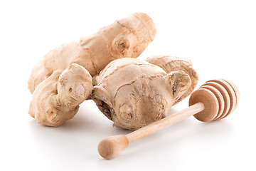 Image showing Ginger root and drizzler