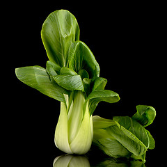 Image showing Pak choi on black 