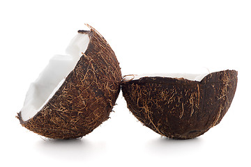 Image showing Coconut