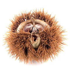 Image showing Chestnuts with shell 