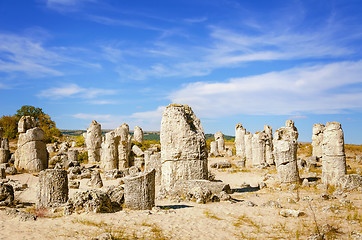 Image showing Stone Forest