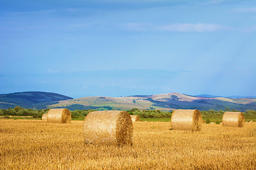 Image showing Haystacks