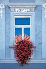 Image showing Red Flowers